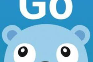 golang 