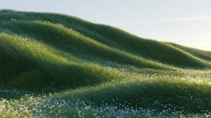 草原飞絮